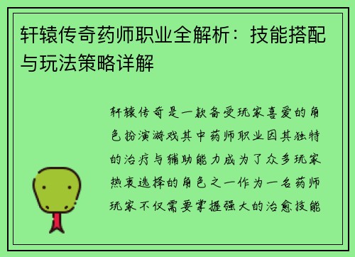 轩辕传奇药师职业全解析：技能搭配与玩法策略详解